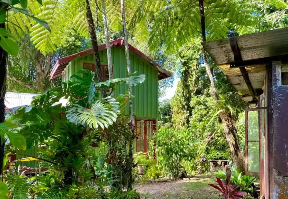Timber house among trees (from a Queenslander search)